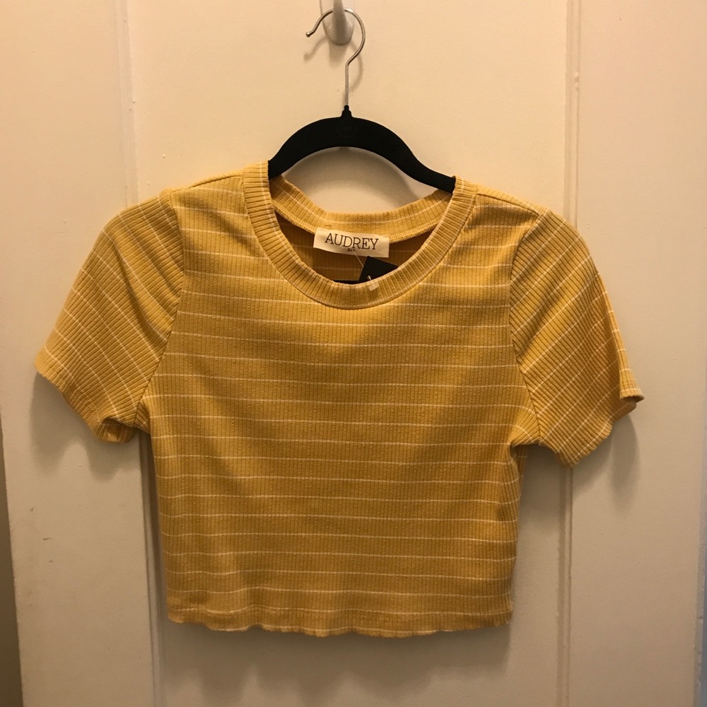 NWT Audrey Striped Crop Top Tee